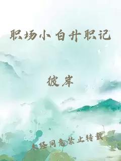 职场小白升职记