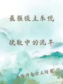 最强领主系统