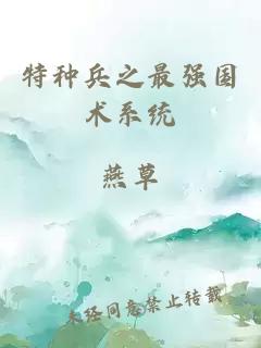 特种兵之最强国术系统