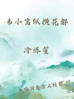 韦小宝纵横花都