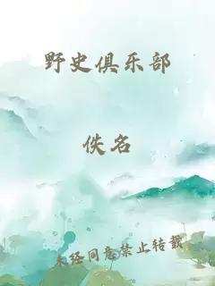 野史俱乐部