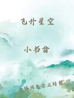 飞升星空