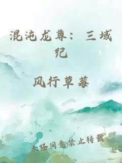 混沌龙尊：三域纪
