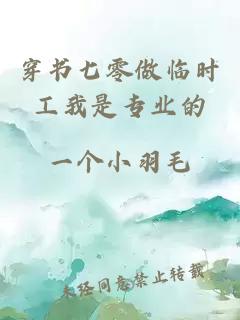 穿书七零做临时工我是专业的