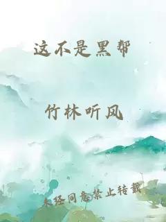 这不是黑帮
