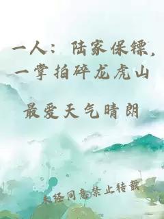 一人：陆家保镖,一掌拍碎龙虎山