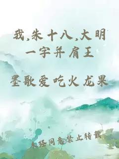 我,朱十八,大明一字并肩王