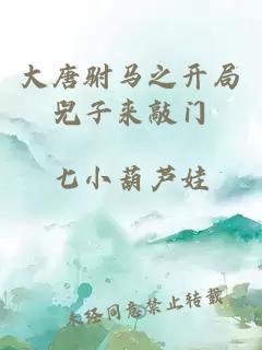大唐驸马之开局兕子来敲门