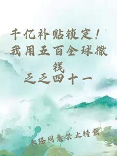 千亿补贴锁定!我用五百全球撒钱