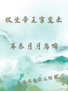 双生帝王宫变录