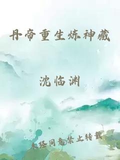 丹帝重生炼神藏