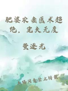 肥婆农妻医术超绝,宠夫无度
