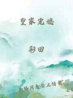 皇家宠媳