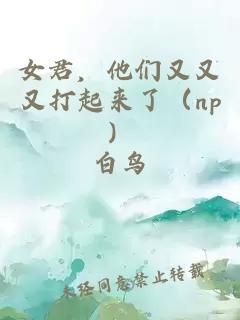 女君,他们又又又打起来了(np)