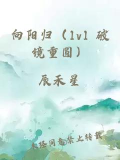 向阳归(1v1 破镜重圆)