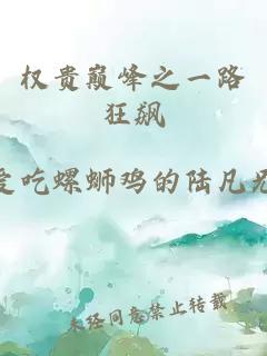 权贵巅峰之一路狂飙