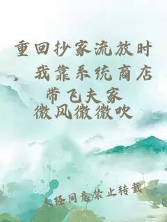 重回抄家流放时，我靠系统商店带飞夫家