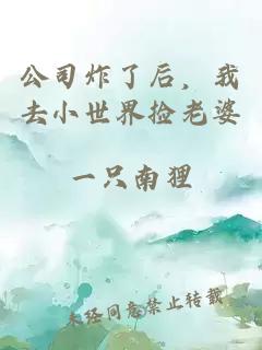 公司炸了后,我去小世界捡老婆