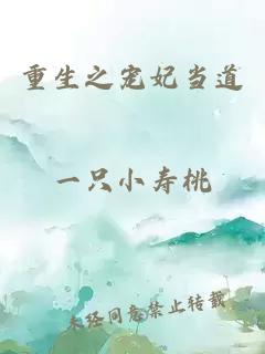 重生之宠妃当道