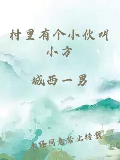 村里有个小伙叫小方