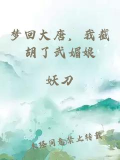 梦回大唐，我截胡了武媚娘