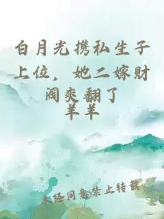 白月光携私生子上位,她二嫁财阀爽翻了