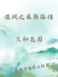 谍战之最强搭档