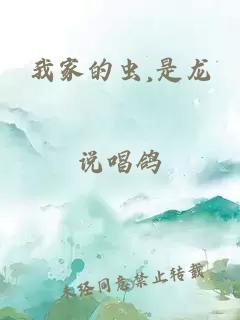 我家的虫,是龙