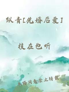 纵青[先婚后爱]