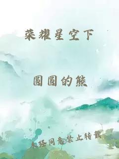 荣耀星空下