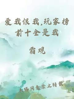 爱我恨我,玩家榜前十全是我