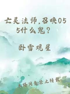 亡灵法师,召唤055什么鬼？