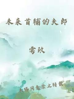 未来首辅的夫郎