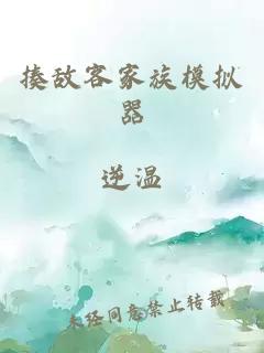 揍敌客家族模拟器