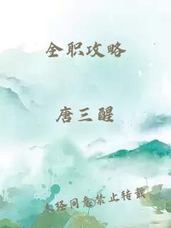 全职攻略