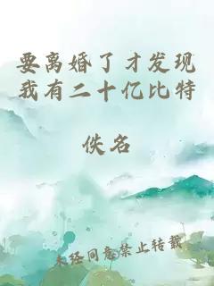 要离婚了才发现我有二十亿比特幣