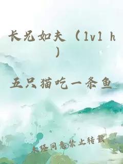 长兄如夫(1v1 h)