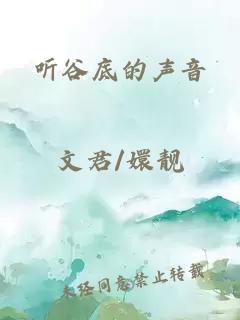 听谷底的声音