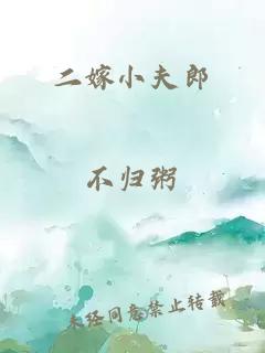 二嫁小夫郎