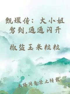 甄嬛传：大小姐驾到,通通闪开