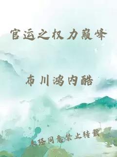官运之权力巅峰