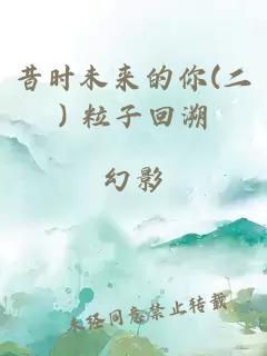 昔时未来的你(二) 粒子回溯