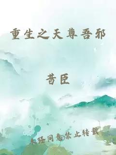 重生之天尊吾邪