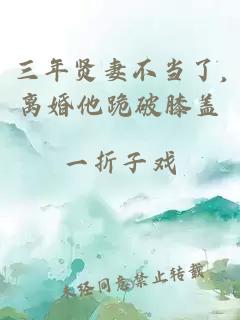 三年贤妻不当了,离婚他跪破膝盖
