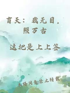 盲天:我无目,照万古