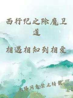 西行纪之除魔卫道