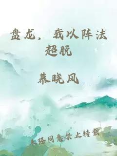 盘龙,我以阵法超脱