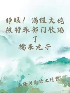 睁眼!满级大佬被特殊部门收编了