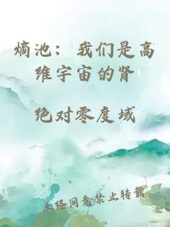 熵池：我们是高维宇宙的肾