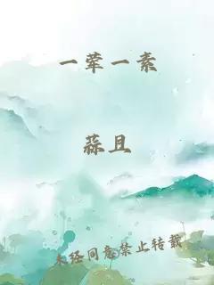 一荤一素